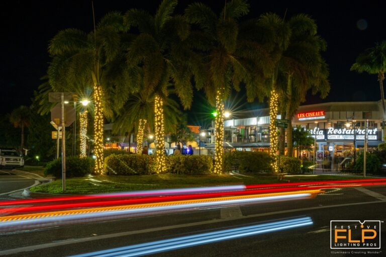 palm-trees-wrpped-in-christmas-lights-in-town-center