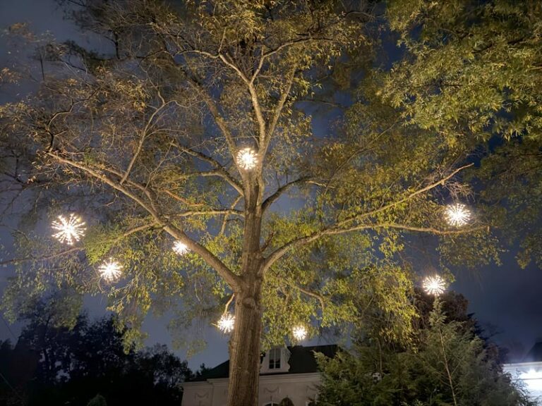 Holiday Spritzer Tree Lighting