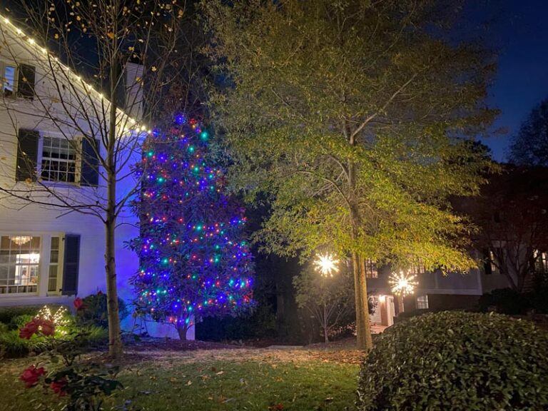 holiday lighting 3
