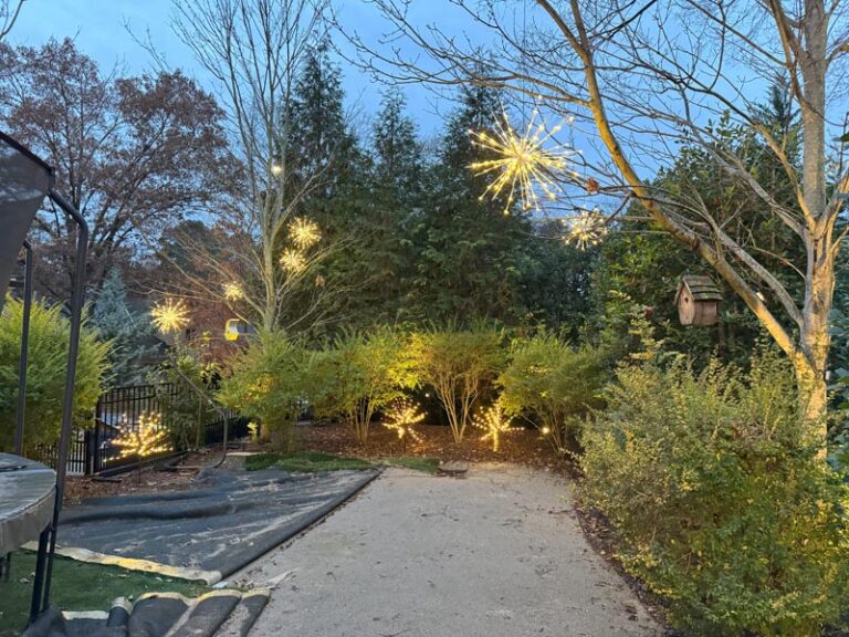 holiday yard lighting 3