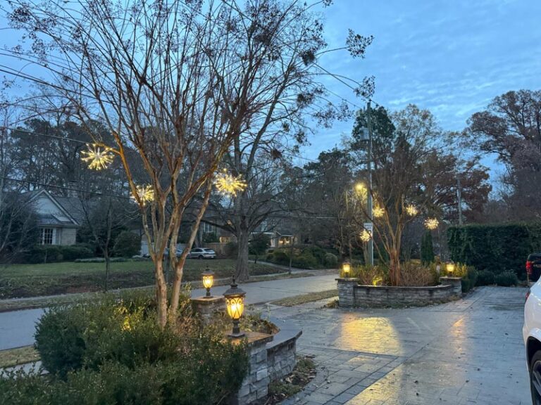 holiday yard lighting 4