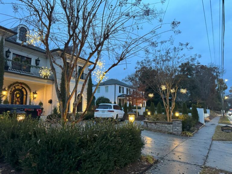 holiday yard lighting 5