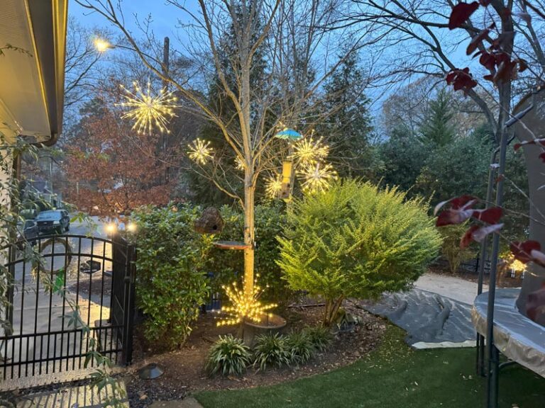 holiday yard lighting