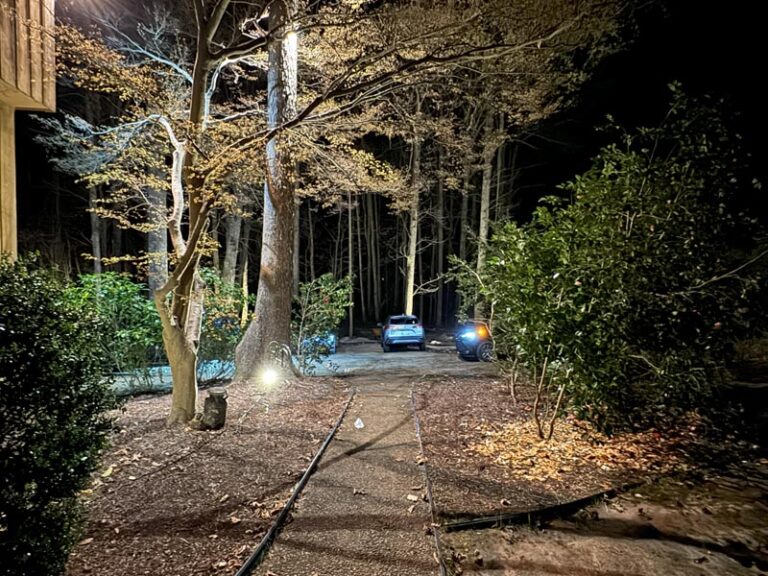 landsacpe lighting 2