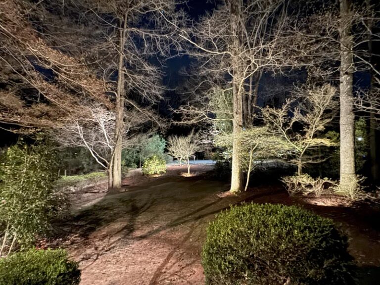 landscape lighting 1