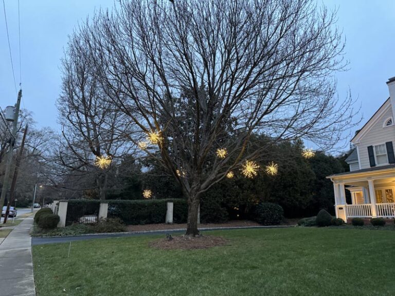 nancy tree sprtizers
